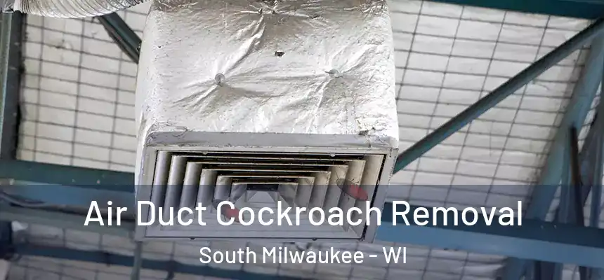  Air Duct Cockroach Removal South Milwaukee - WI