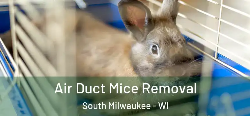 Air Duct Mice Removal South Milwaukee - WI