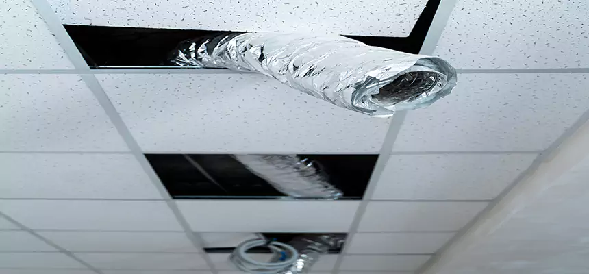 Our Air Duct Pet Hair Removal Services in South Milwaukee, WI