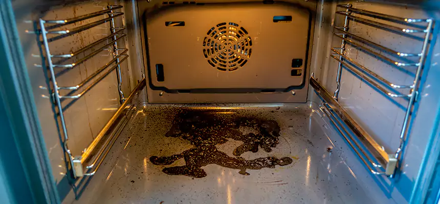 Our Dryer Vent Mold Cleaning Services in South Milwaukee, WI