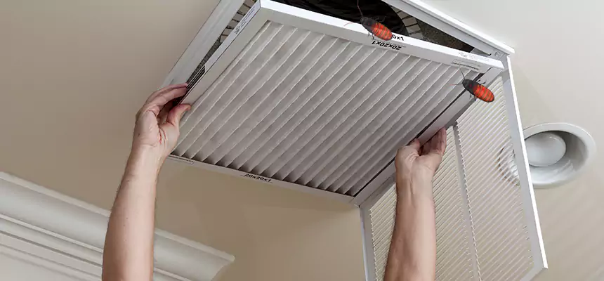 Our Insect Removal from Air Ducts Services in South Milwaukee, WI
