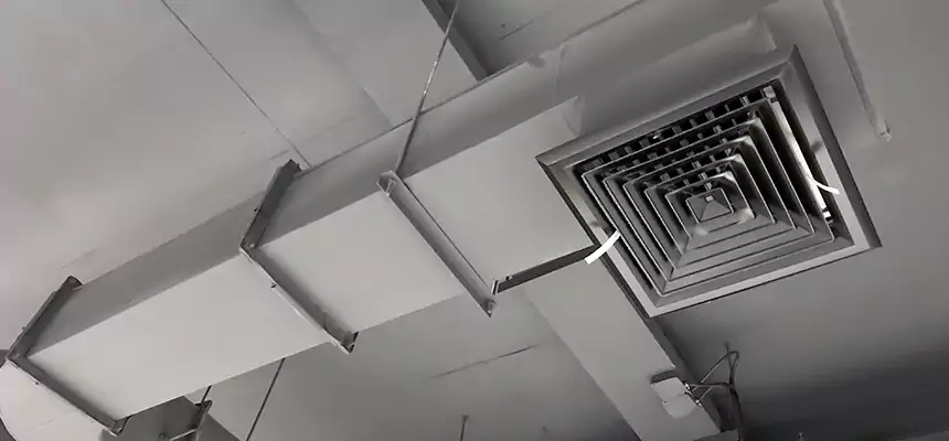 Our Pest Removal From Ducts Services in South Milwaukee, WI