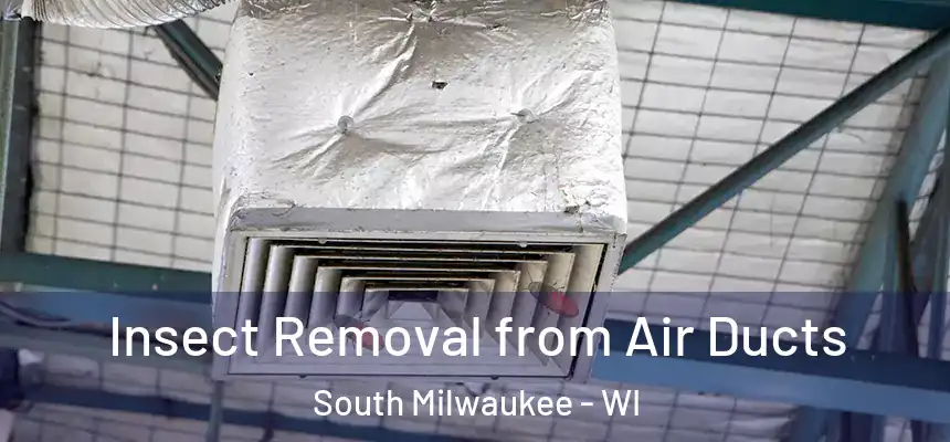  Insect Removal from Air Ducts South Milwaukee - WI