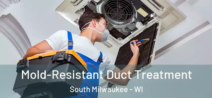  Mold-Resistant Duct Treatment South Milwaukee - WI