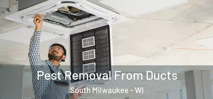  Pest Removal From Ducts South Milwaukee - WI