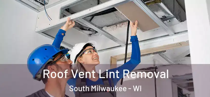  Roof Vent Lint Removal South Milwaukee - WI