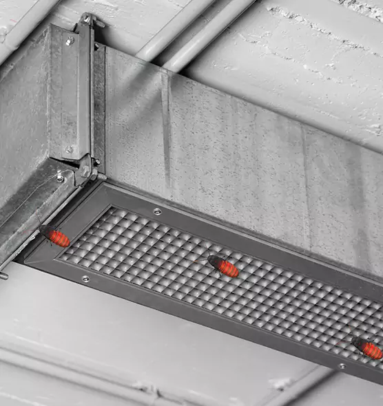 About Air Duct Cockroach Removal in South Milwaukee, WI