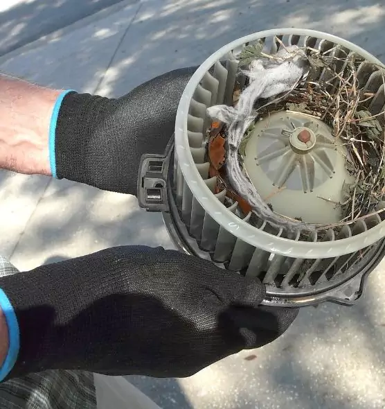 About Air Duct Mice Removal in South Milwaukee, WI