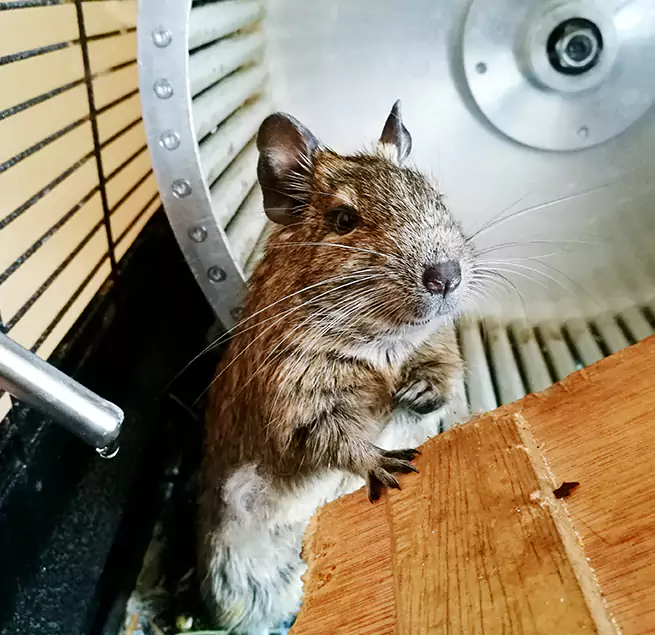 Why Homeowners & Businesses Trust Us South Milwaukee, WI?