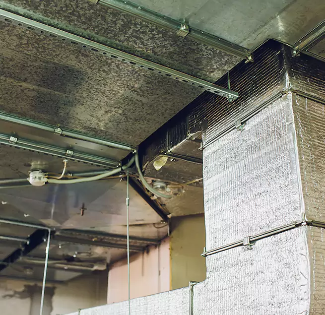 Why Homeowners & Businesses Trust Us in South Milwaukee, WI?